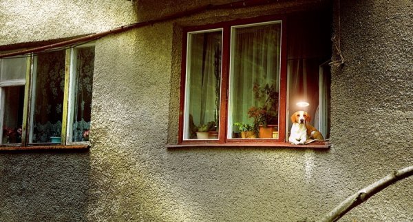 Фотовиставка Вікторії Величко